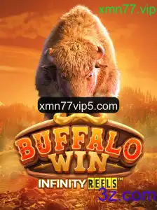 Explorando o Fascinante Mundo de BuffaloWin